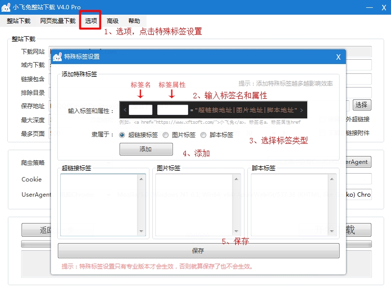 小飞兔整站下载如何设置特殊标签？