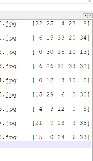 人脸识别0-07：insightFace-半监督系统搭建(2)-人脸分类