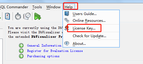 Dbvisualizer license key crack
