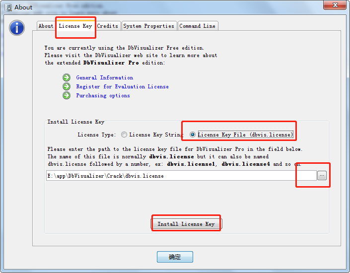 dbvisualizer 10 license key