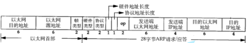 网络基础3-1(细谈IP协议头, 网络层，子网划分，路由选择，数据链路层，以太网帧格式，MAC地址，再谈ARP协议)