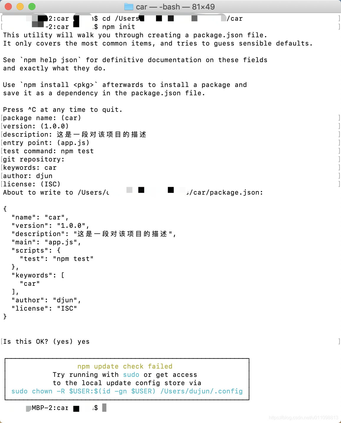 创建package.json文件流成