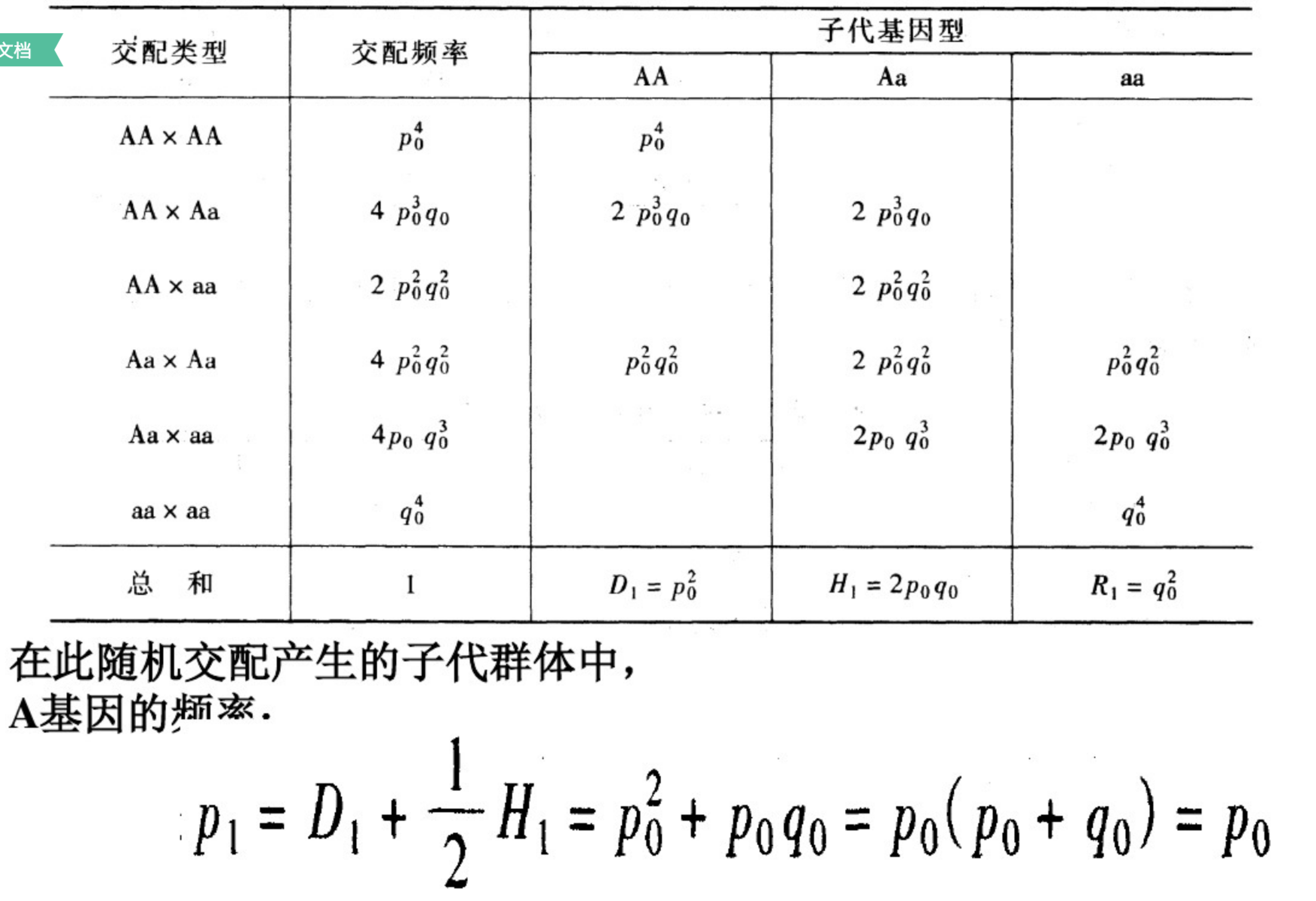 群体遗传学数学基础 Ruby912的博客 Csdn博客 群体遗传学