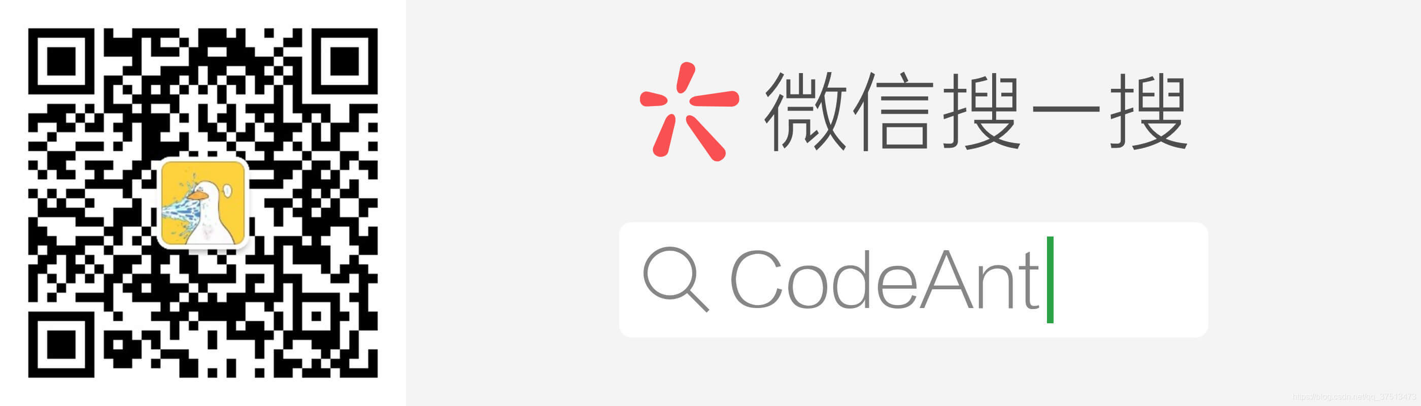 微信搜索公众号：CodeAnt