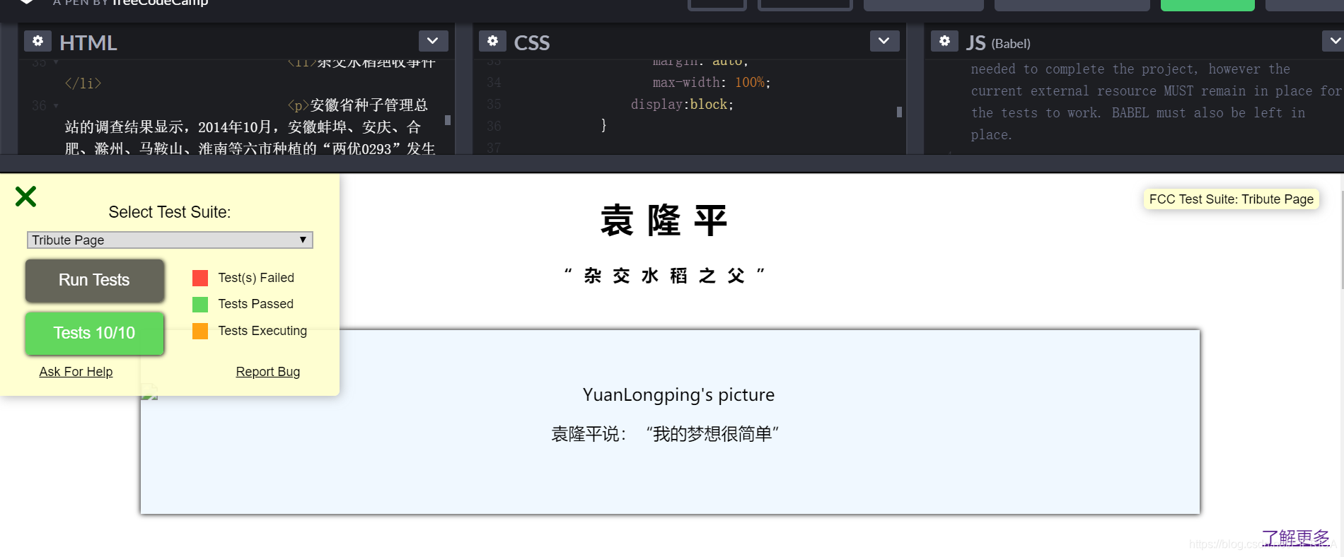 CodePen测试结果