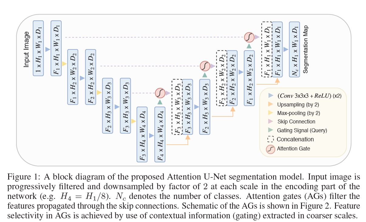 Attention U-Net: Learning Where to Look for the Pancreas论文笔记