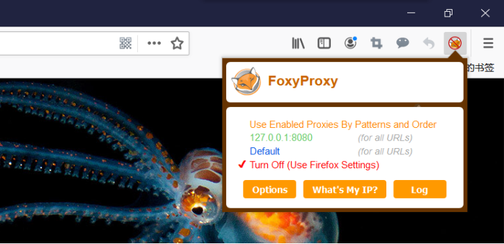 图2 FoxyProxy插件