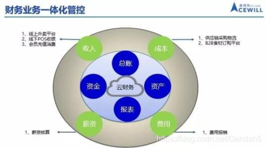 建立财务管理报告和分析系统