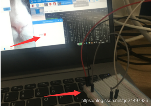 树莓派开发笔记(五):GPIO引脚介绍和GPIO的输入输出使用(驱动LED灯、检测按键)