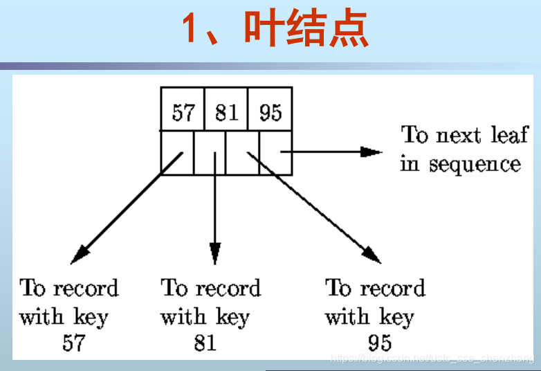 B+树的页节点