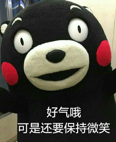 我和测试的爱恨情仇