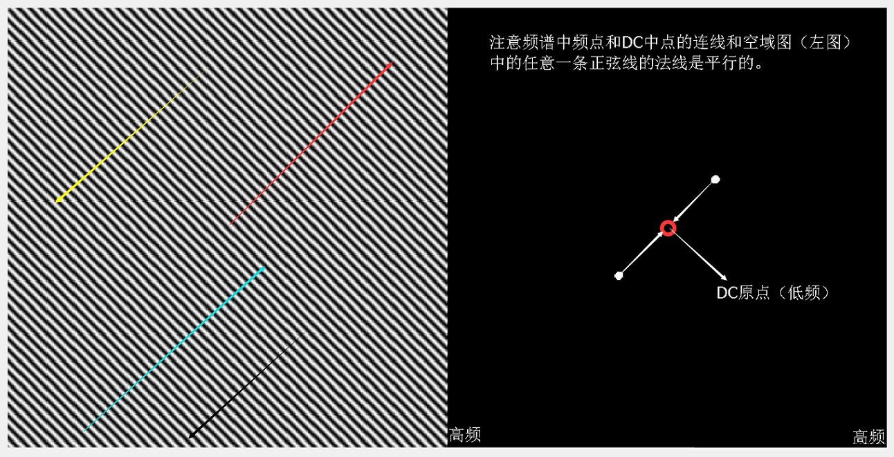 如何理解 图像傅里叶变换的频谱图人工智能绿色羽毛-