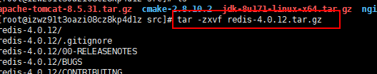 tar -zxvf redis-4.0.12