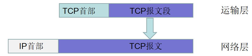 网路层