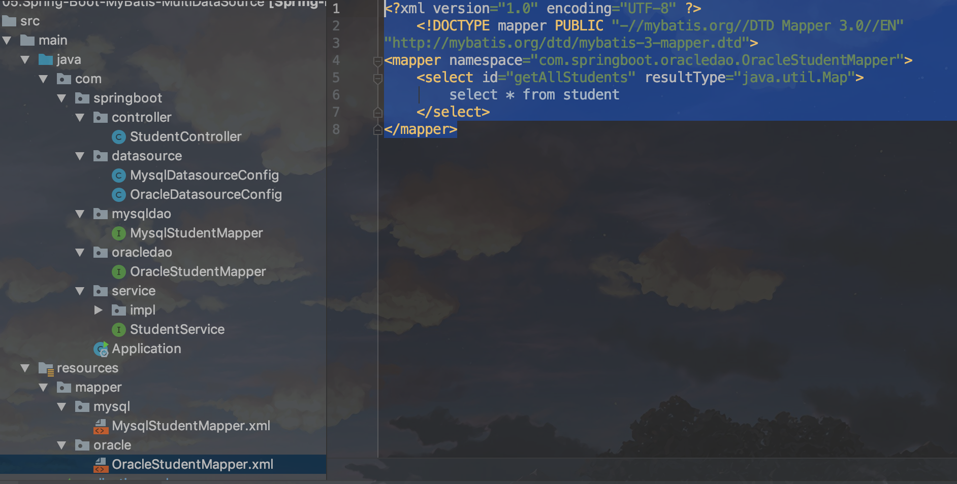 Spring Boot MyBatis configures Druid multiple data sources - Programmer ...