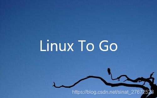 Linux to Go