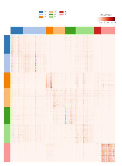 聚类特异性peak 聚类特异性peak