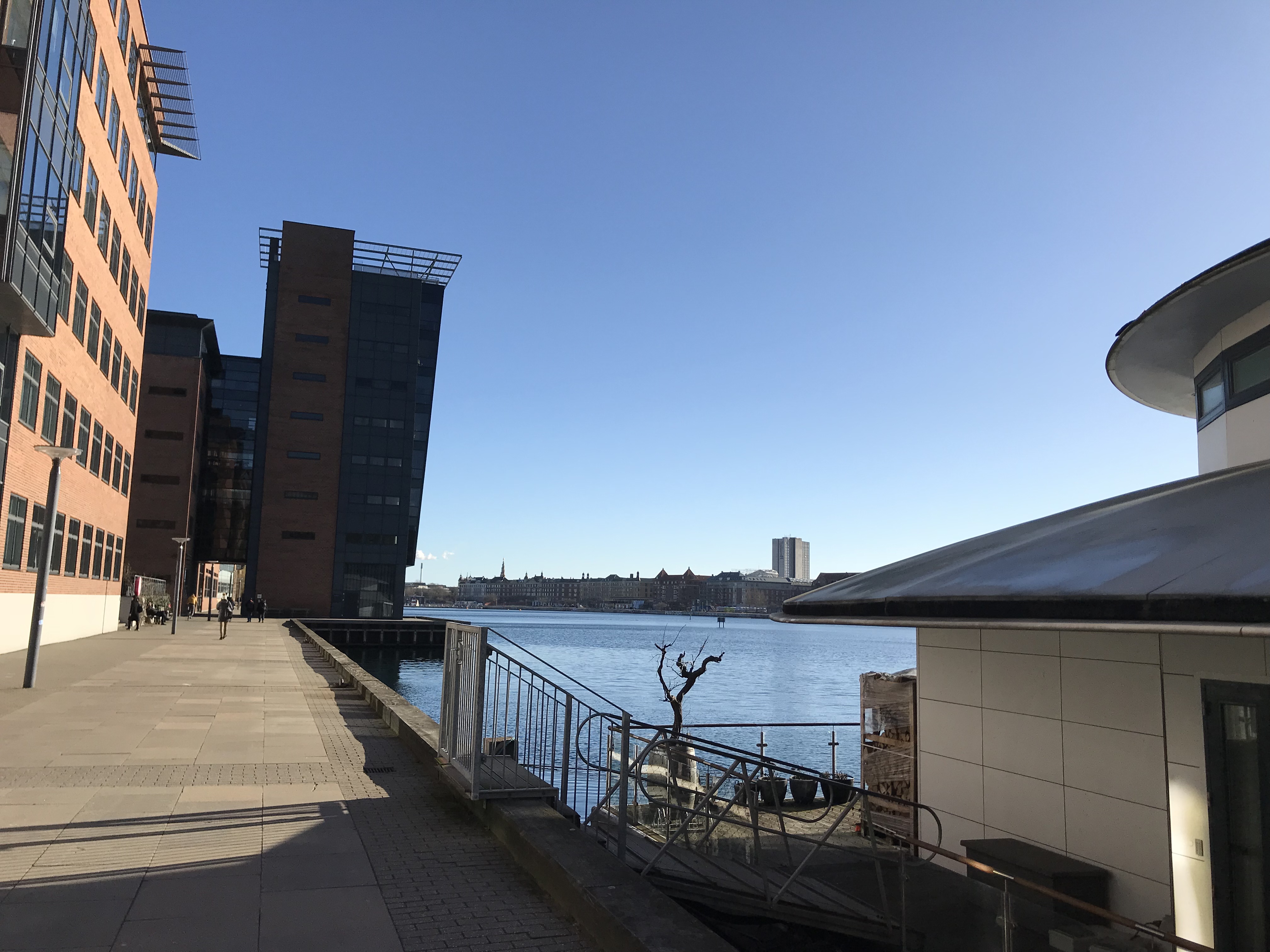 On the bank of Copenhagen harbor.