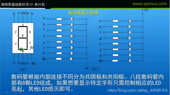 数码管内部结构与