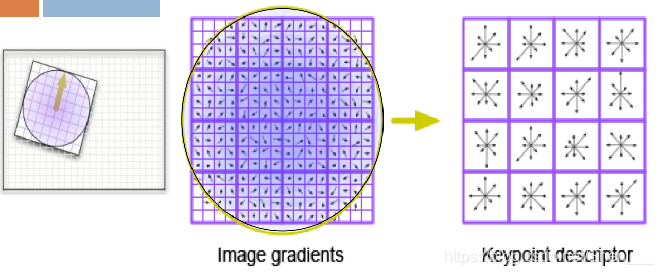 image gradients