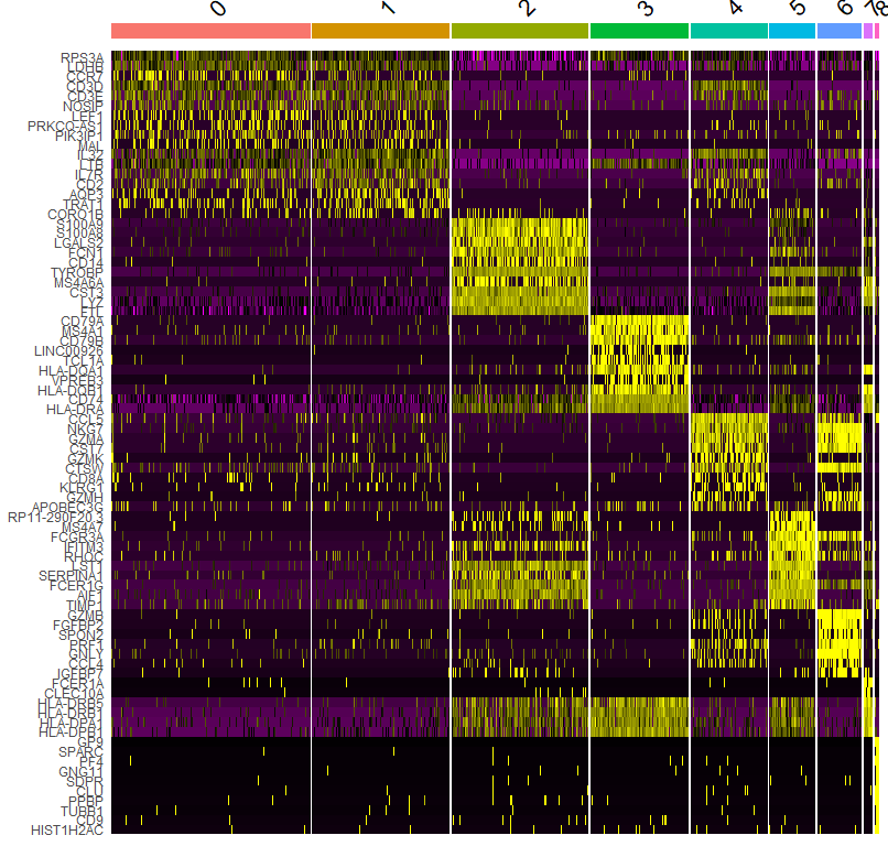 Seurat-heatmap