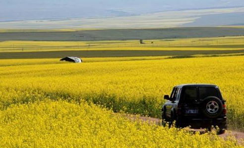 歌曲下载地址:https://www.doctor-telephone-recover.com/music.html