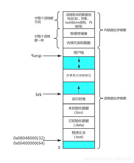 字符串的存储位置