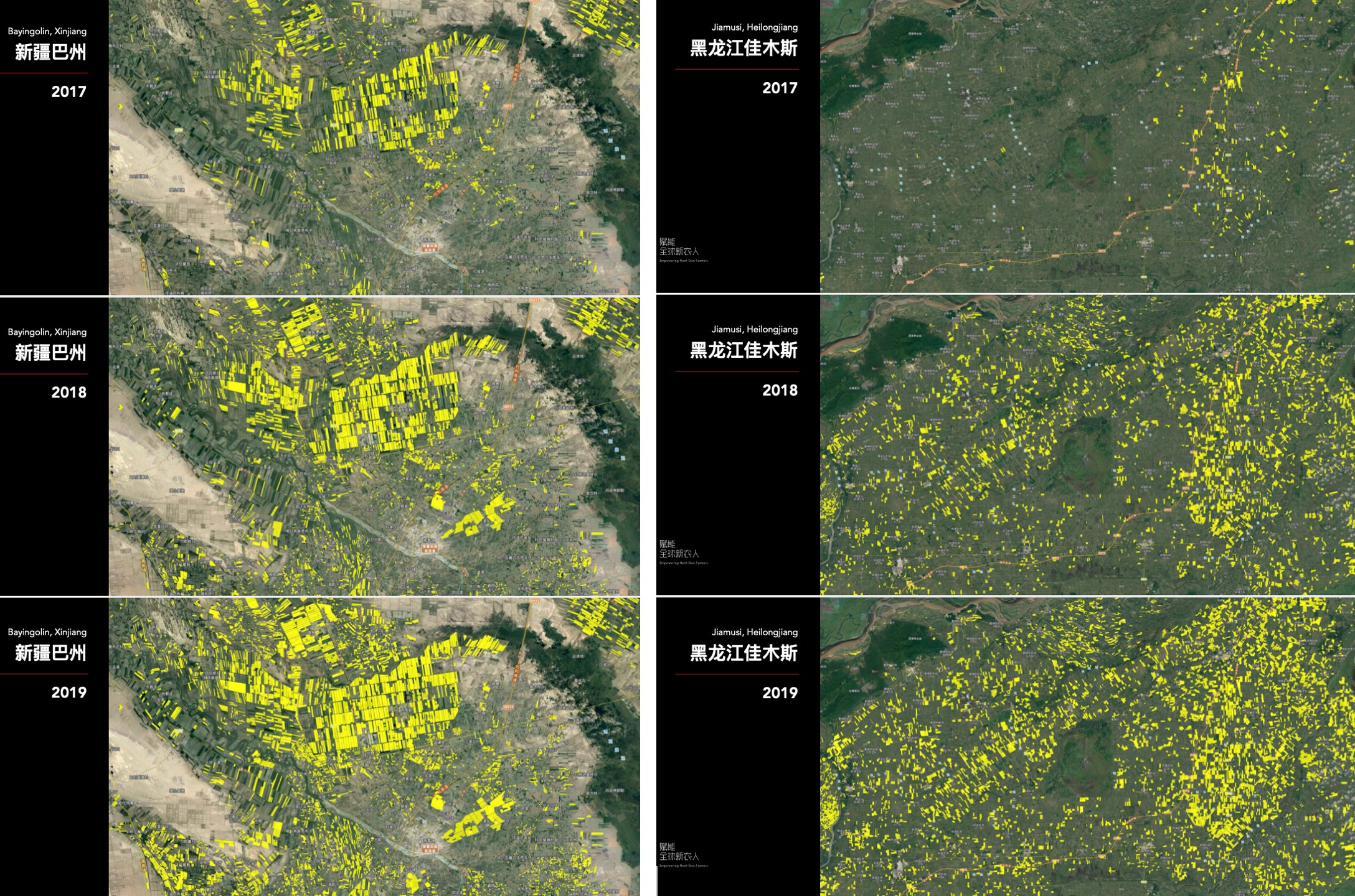 从无人机、物联网到 AI，极飞智慧农业落地开花