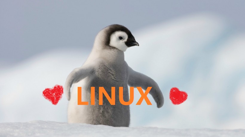 畅聊Linux系统运维的未来