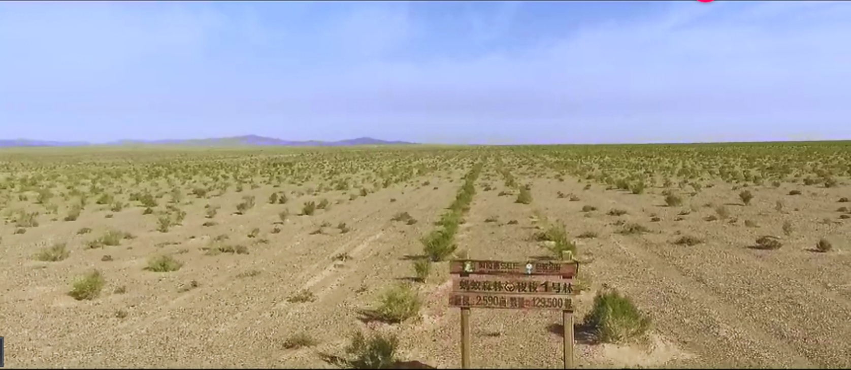 从遥感卫星rapideye的视角见证蚂蚁森林的生长以蚂蚁森林1号林为例