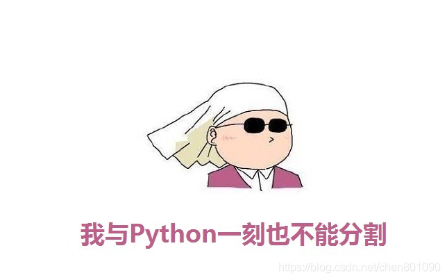 对Python初学者要说的四句心里话