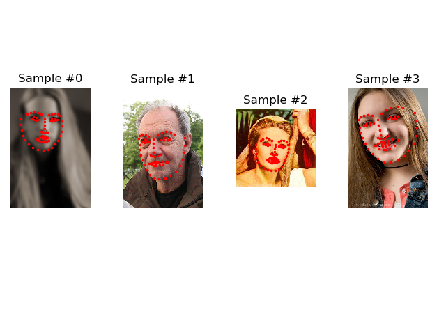 pytorch load and preprocess images 五