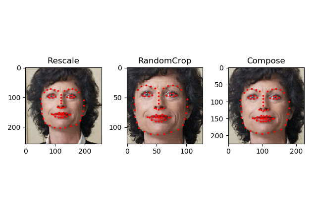 pytorch load and preprocess images 五