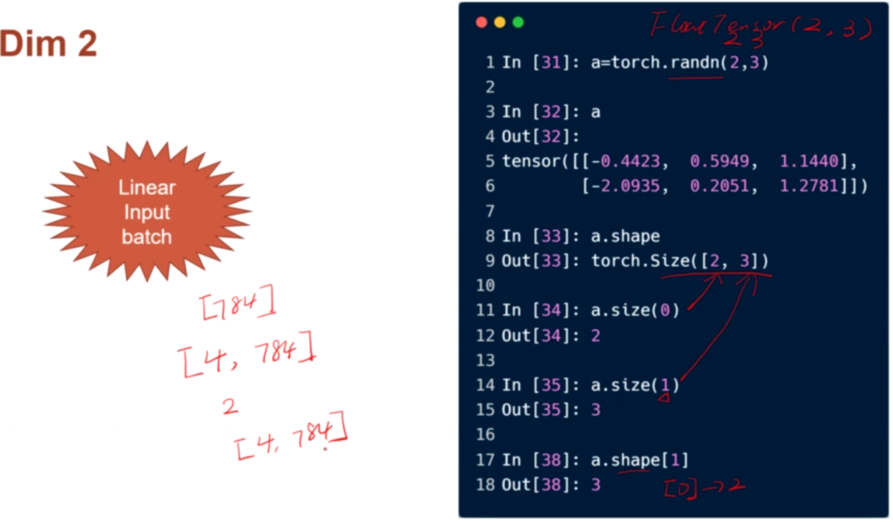 pytorch入门实战教程笔记 四 基础张量操作1