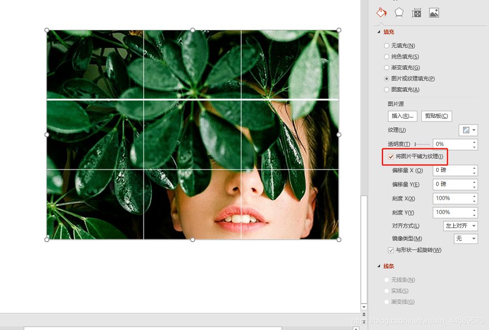 拍照怎样使用九宫格 watermark,type_ZmFuZ3poZW5naGVpdGk,shadow_10,text_aHR0cHM6Ly9ibG9nLmNzZG4ubmV0L3dlaXhpbl80NDU2OTUyMA==,size_16,color_FFFFFF,t_70
