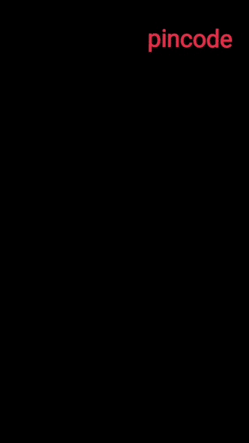 PINCODE-代码