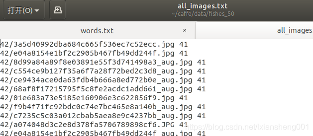 【Python】制作LMDB数据集文件(文件统一命名-数据增强-获取train.txt和test.txt)LMDB文件时会出现killed问题 ...