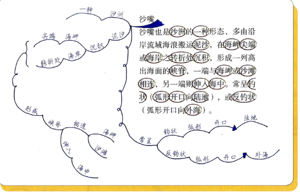 思维导图学习 辣鸡浪费时间的一次学习 Iroy33的博客 Csdn博客
