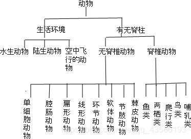 动物分类