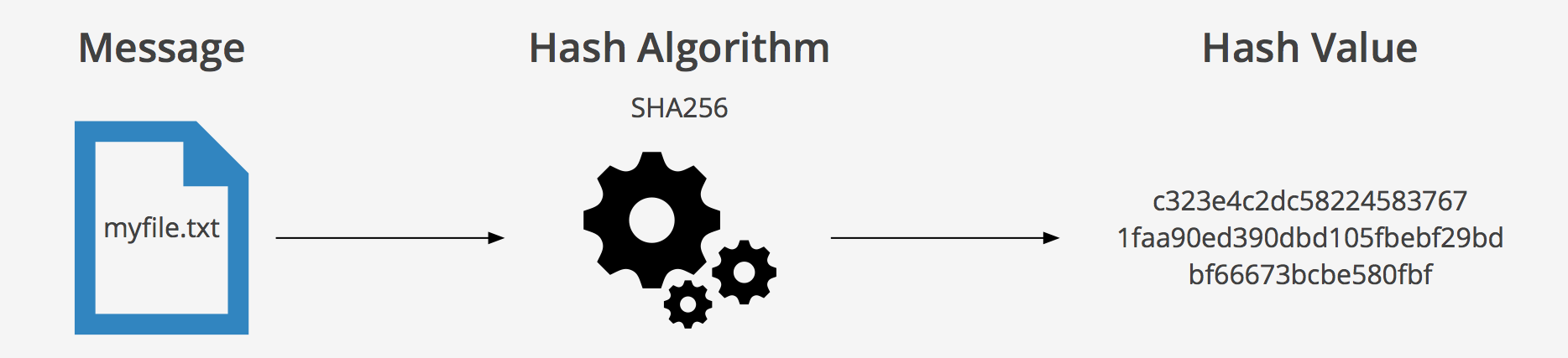 SHA256 算法