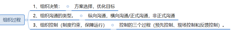 组织过程
