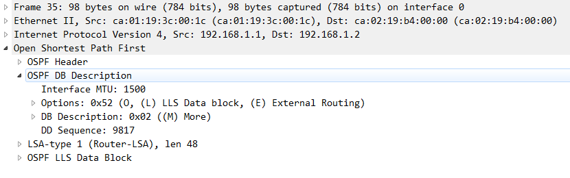 Ospf的数据包和工作过程 Btmpw的博客 Csdn博客