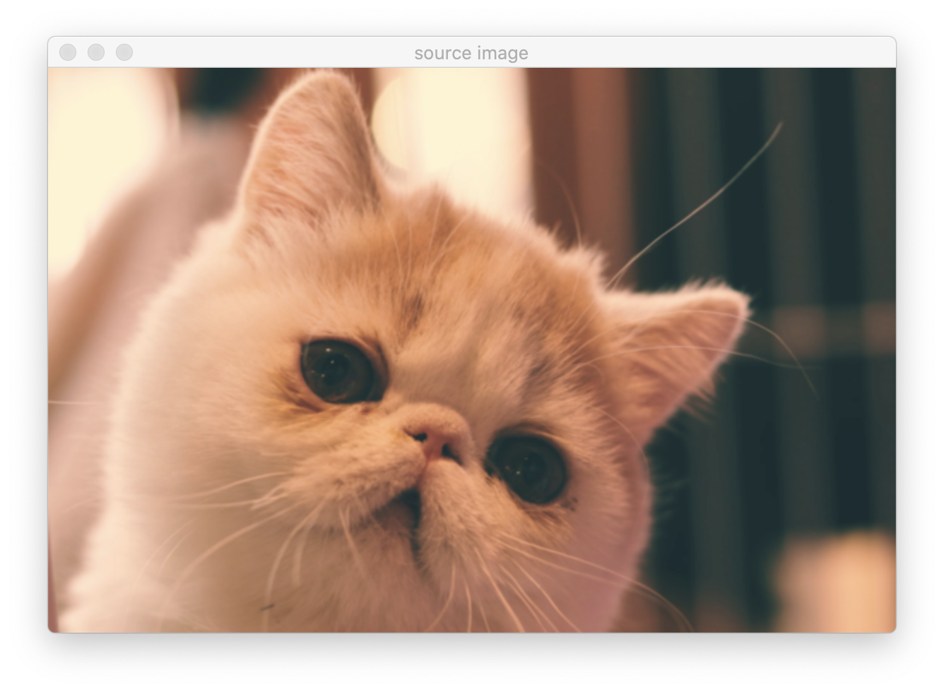 OpenCV 基于色彩直方图进行肤色检测_u012841922的博客-程序员宅基地 