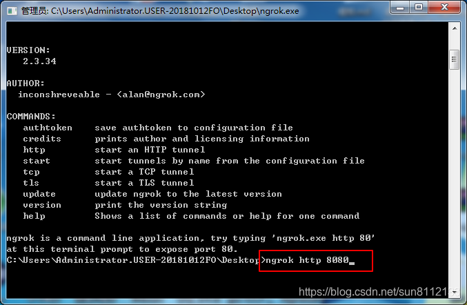 Ngrok输入命令