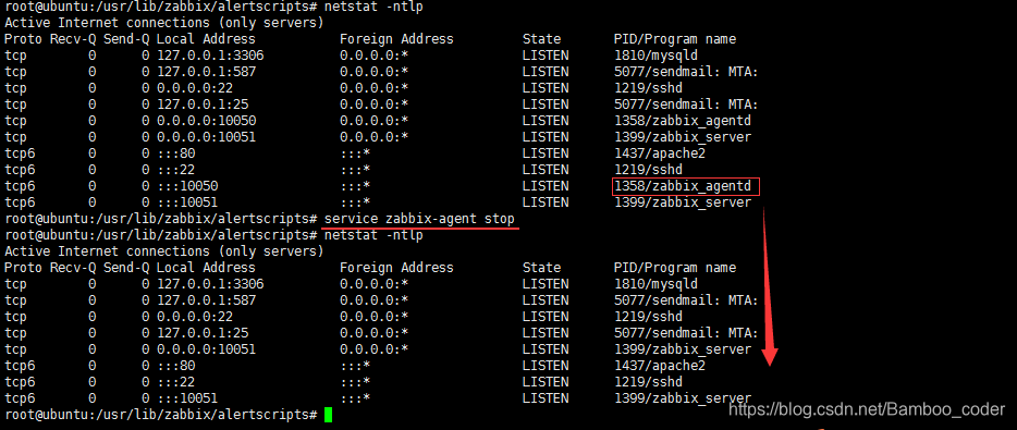 人口失踪报案需要哪些程序_失踪人口图片(3)