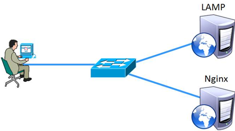 部署Nginx+Apache动静分离（实战！可跟做！）