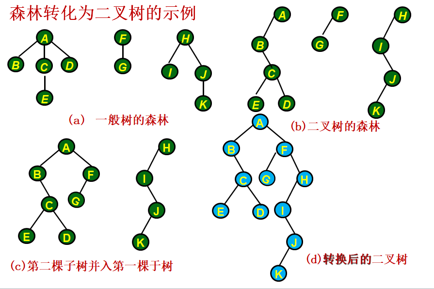 一般树与二叉树、森林与二叉树的转换_尕焱aYan的博客-CSDN博客