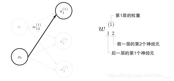 权重的符号