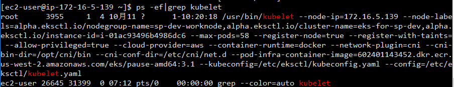 kubelet from Node