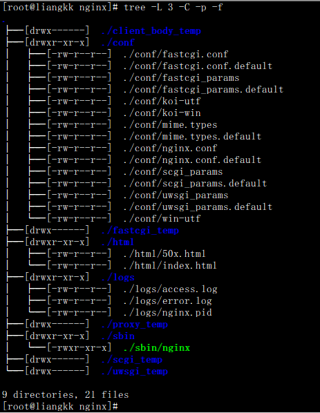 Linux中的tree命令_linux里的tree-CSDN博客